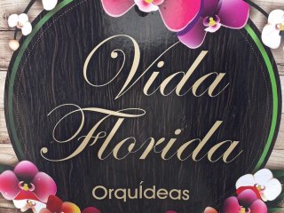 Vida Florida Orqudea